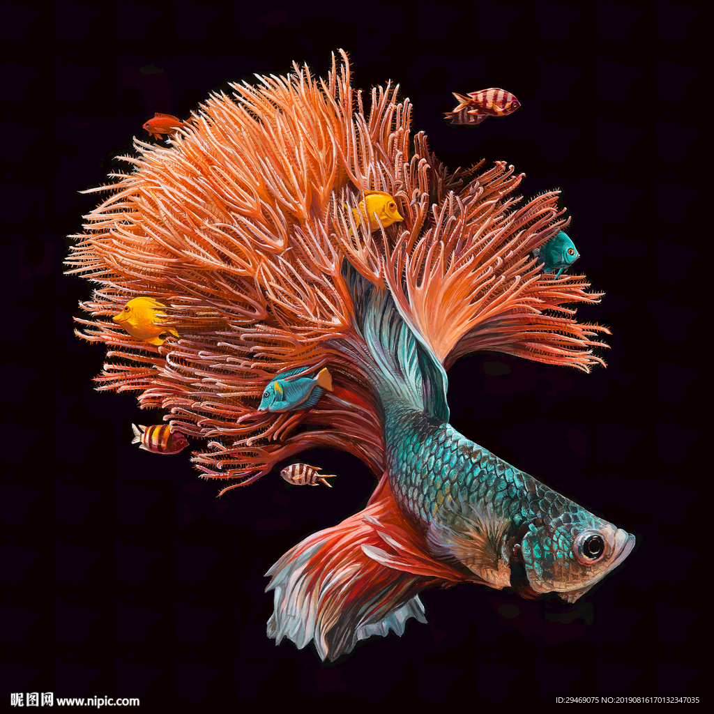 装饰画手绘珊瑚鱼海洋鱼类金龙鱼