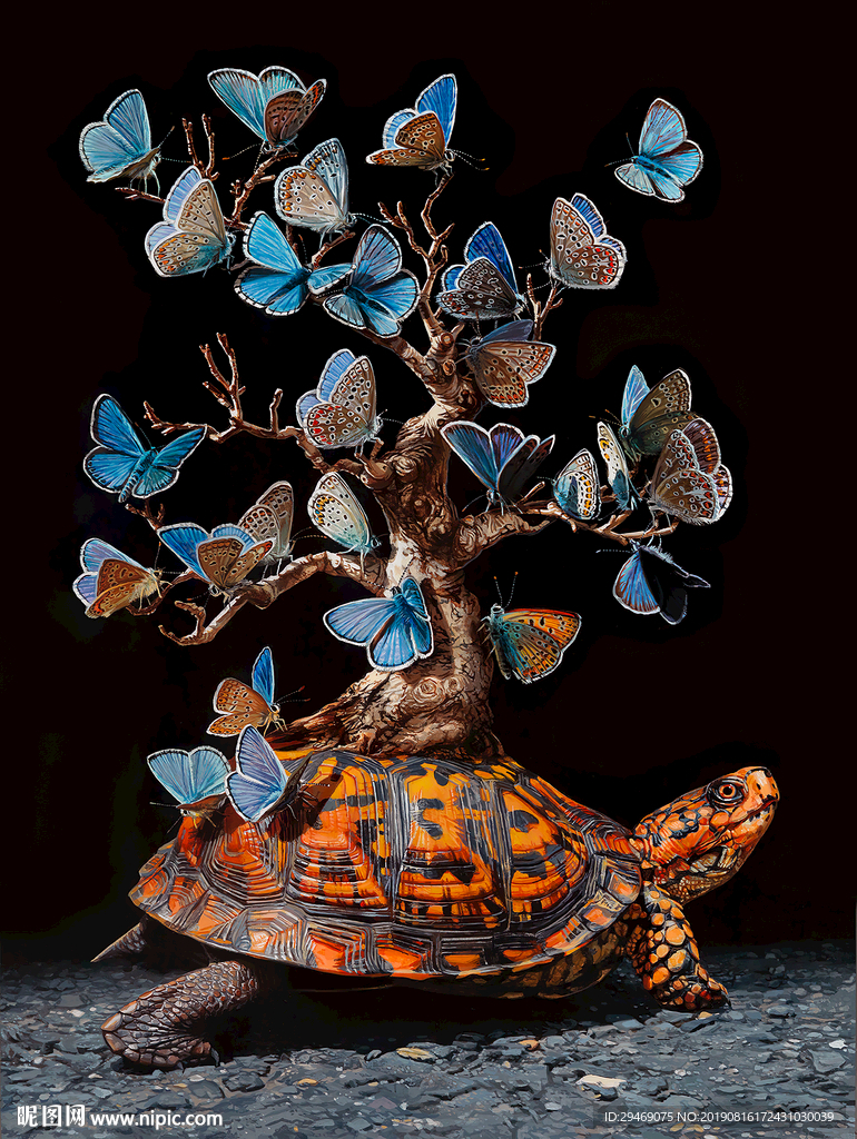 装饰画乌龟蝴蝶创意水彩手绘插画