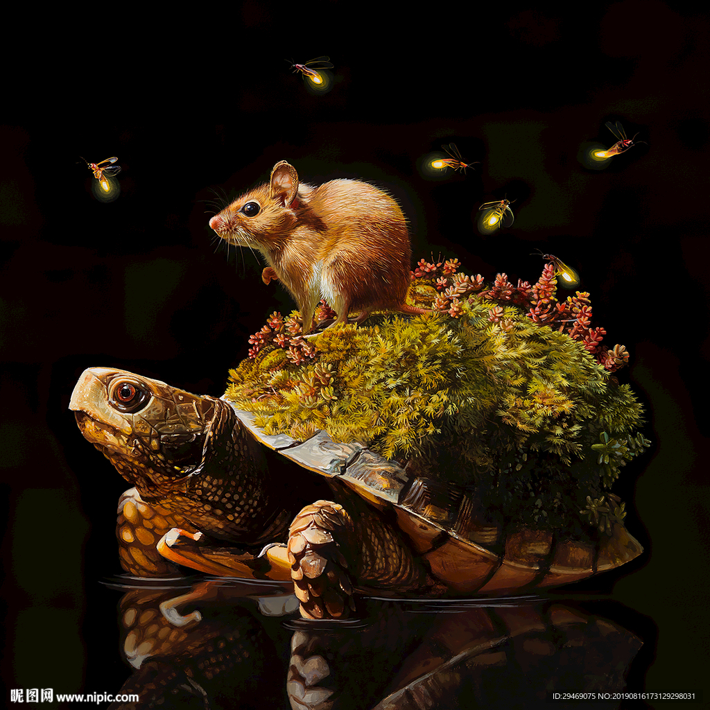 装饰画乌龟老鼠水草萤火虫创意画