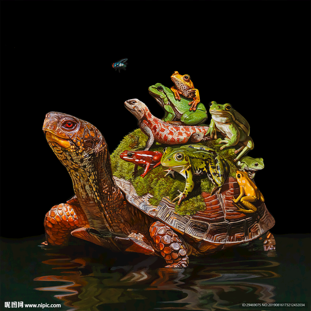 装饰画乌龟蜥蜴青蛙手绘创意插画