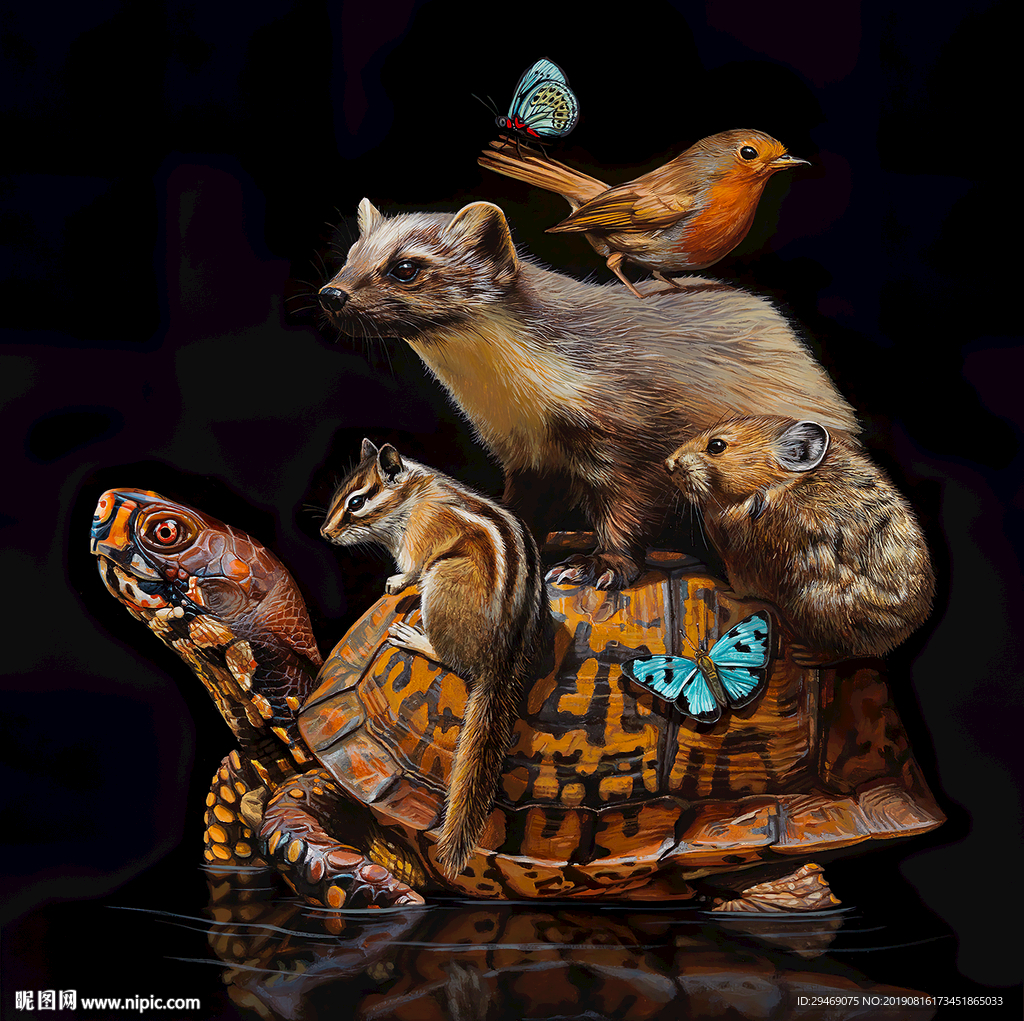 装饰画乌龟松鼠黄鼠狼老鼠鸟蝴蝶