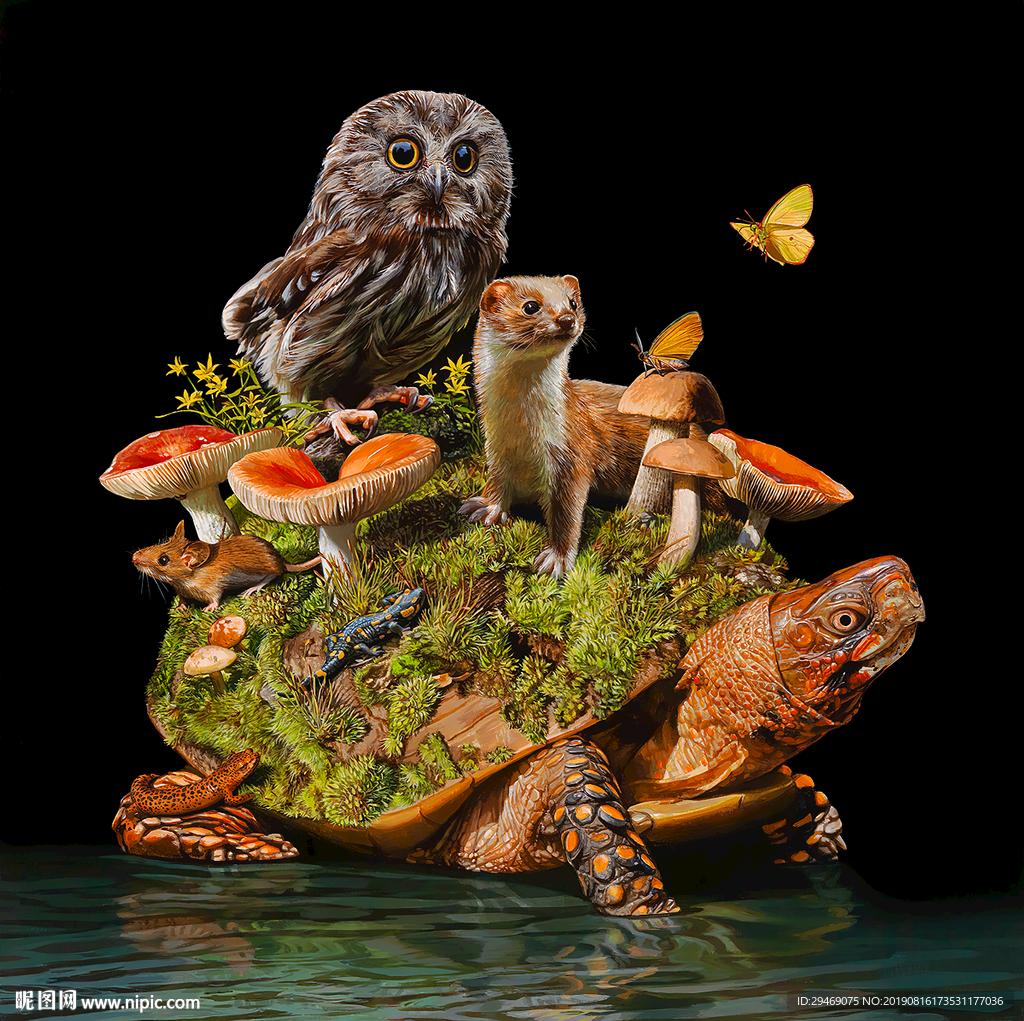装饰画乌龟猫头鹰黄鼠狼蘑菇插画