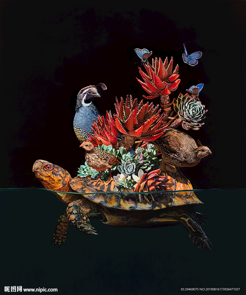 装饰画乌龟多肉鹌鹑蝴蝶创意插画