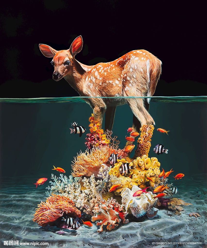 鹿热带鱼珊瑚创意水彩手绘插画
