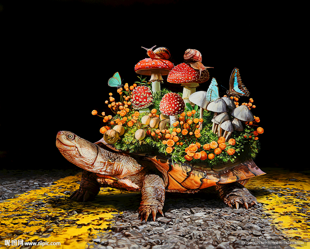 装饰画乌龟蘑菇蜗牛蝴蝶创意插画