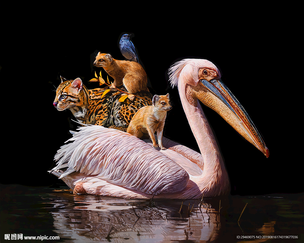 装饰画鹈鹕豹子鸟手绘创意插画