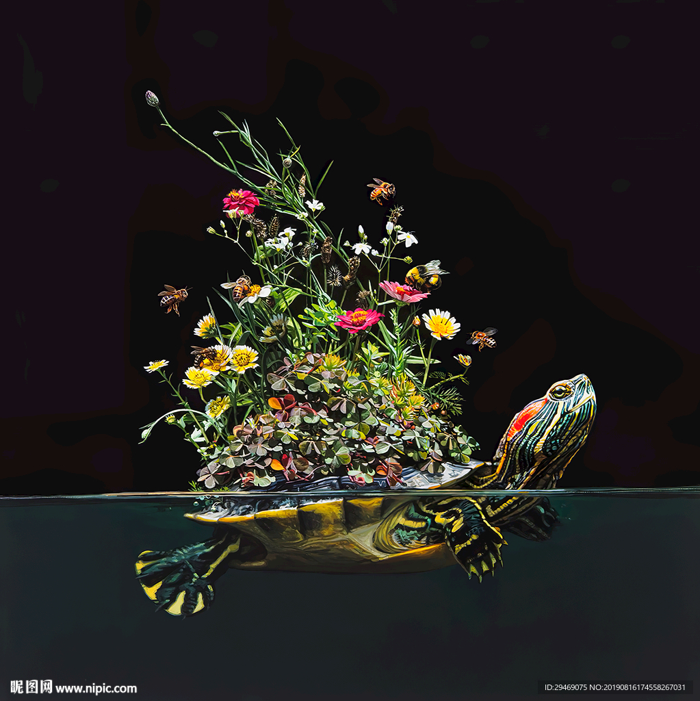 装饰画乌龟花草蜜蜂创意水彩插画