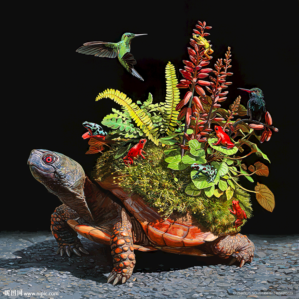 装饰画乌龟花草蜂鸟青蛙手绘插画