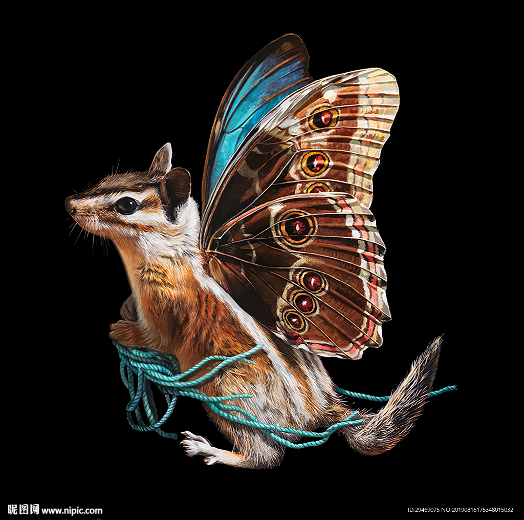 装饰画松鼠蝴蝶水彩画手绘插画