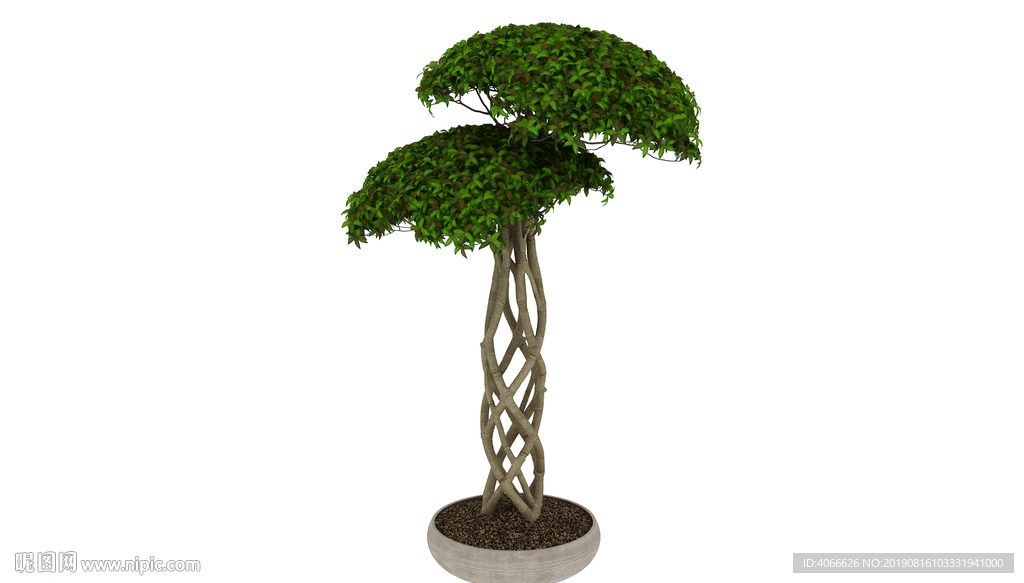 高大植物3d模型