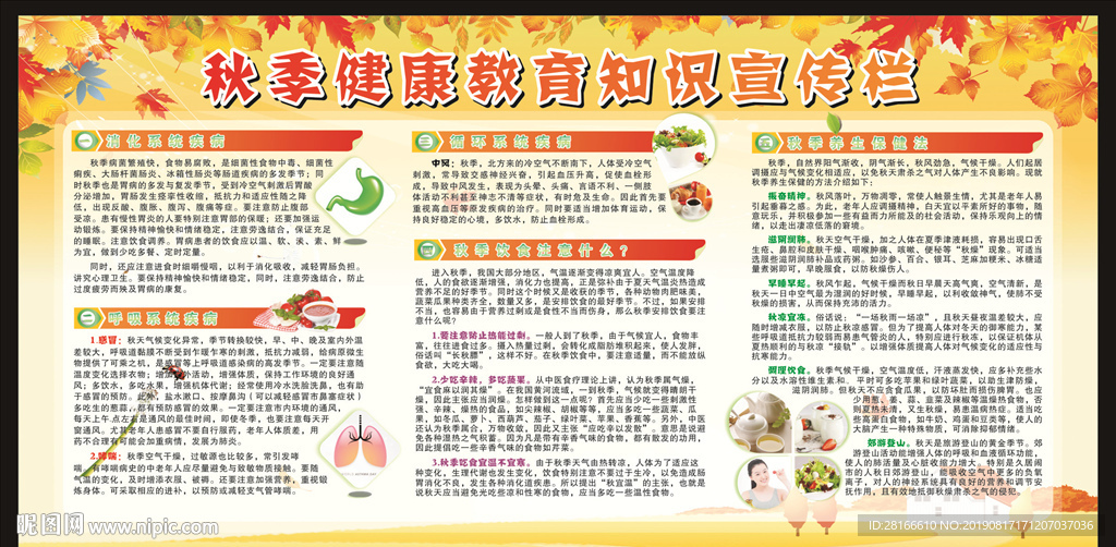 秋季健康教育宣传栏