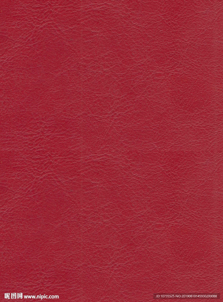 皮纹