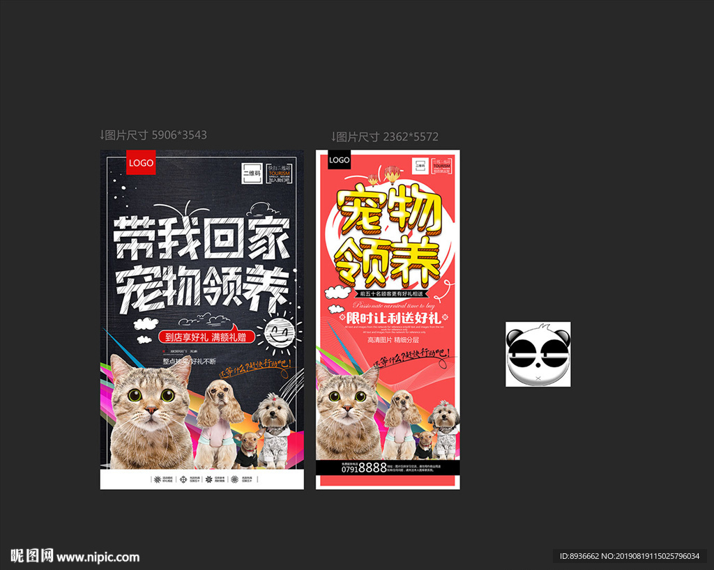 宠物领养