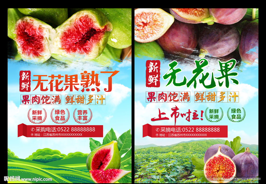 无花果海报
