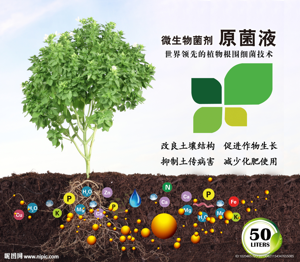 植物营养元素看板