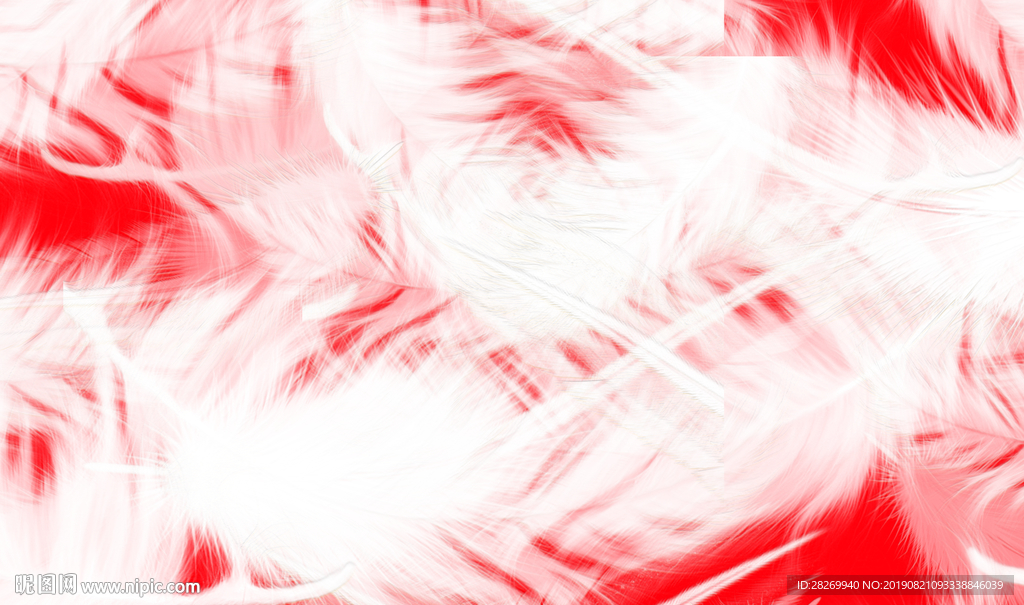 羽毛