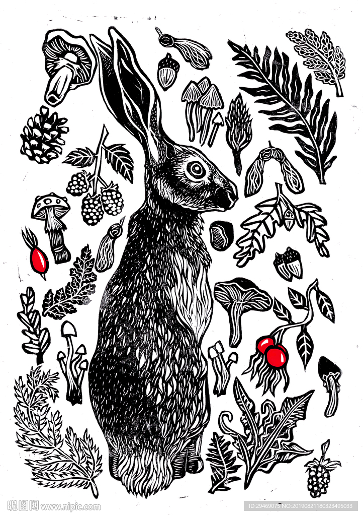 兔子松果榛子蘑菇装饰画手绘插画