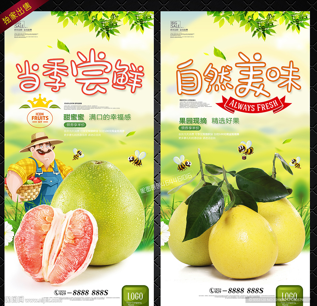 柚子海报