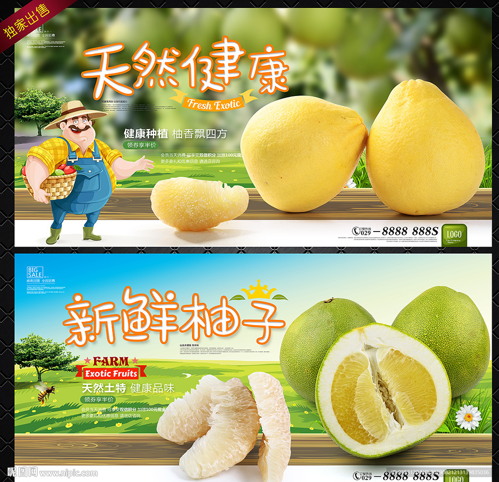 柚子