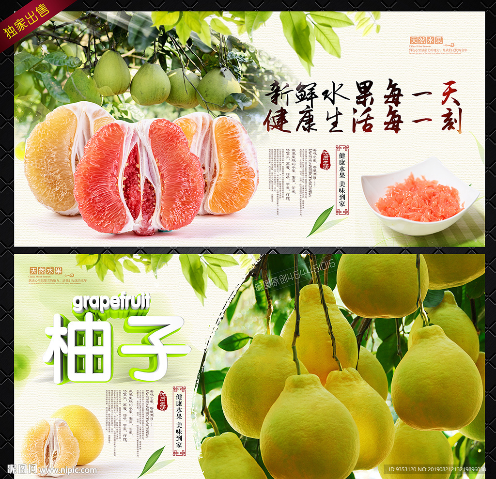 柚子海报