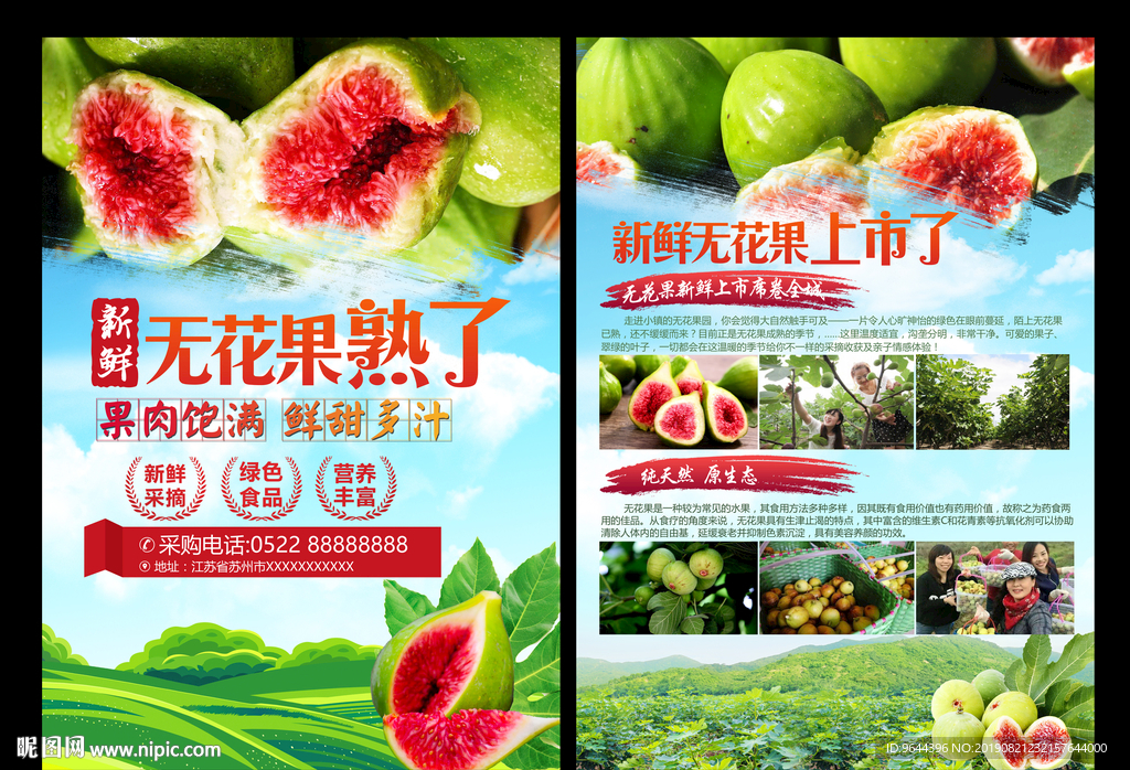 无花果宣传单