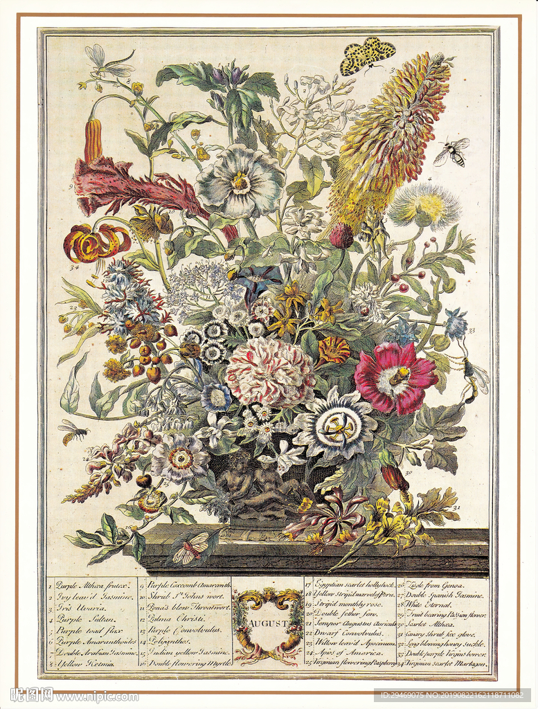 欧式花瓶插画花卉手绘插画装饰画