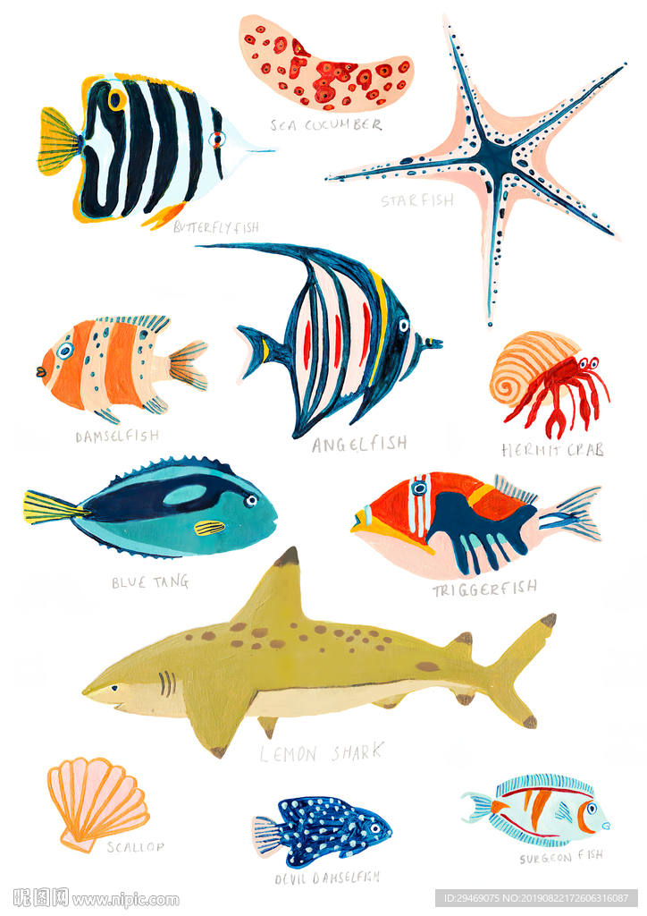 手绘插画水彩画卡通画热带鱼