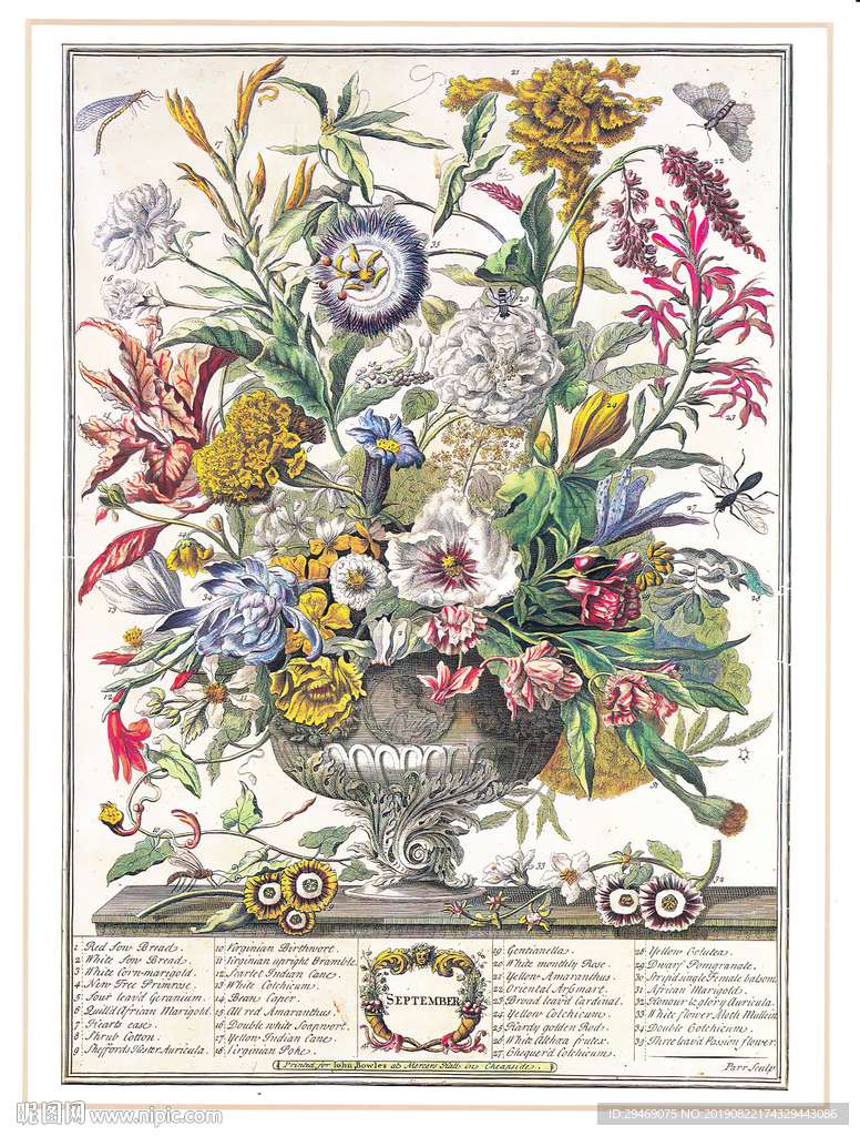 欧式花瓶插画花卉手绘插画装饰画