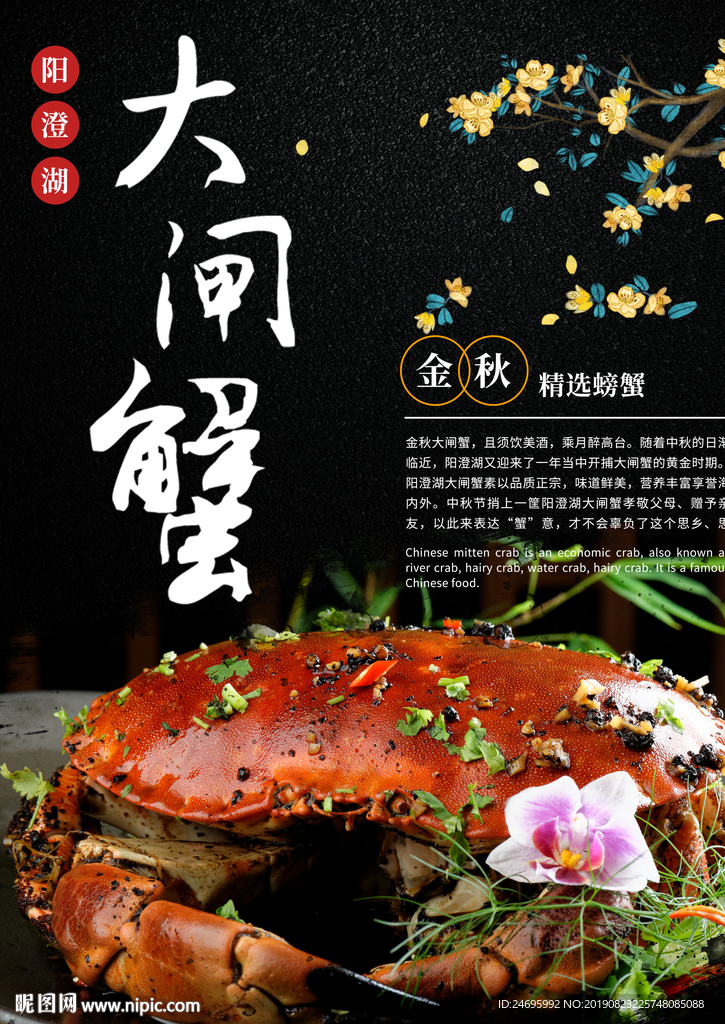美食海报