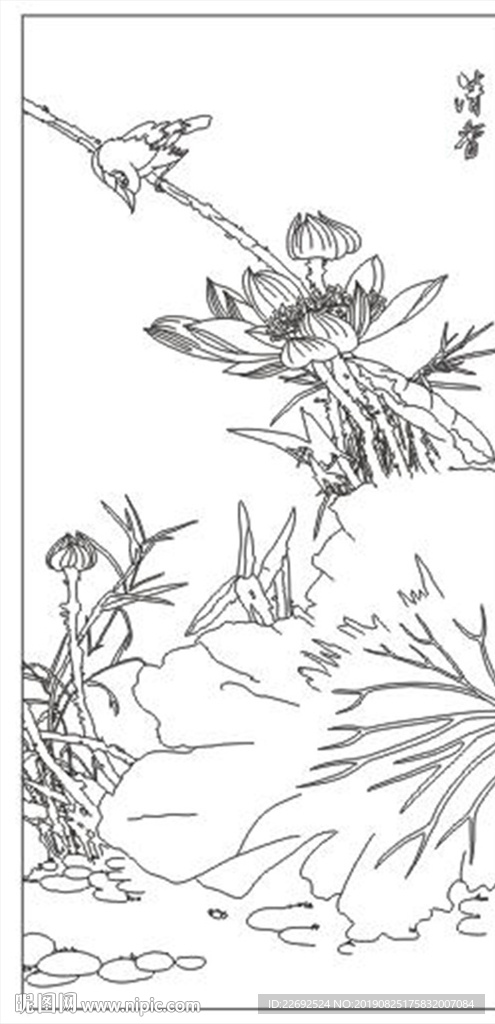 荷花