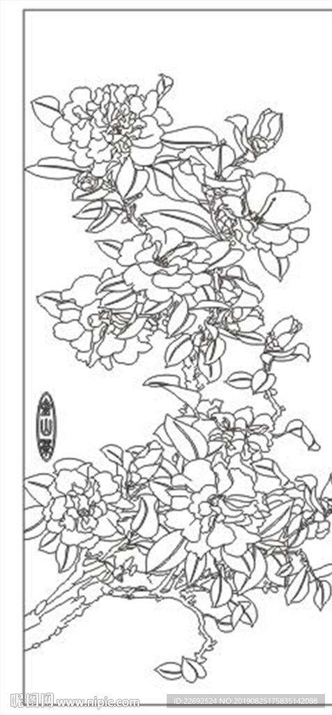牡丹花