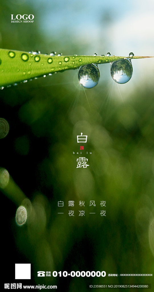白露 寒露 地产海报