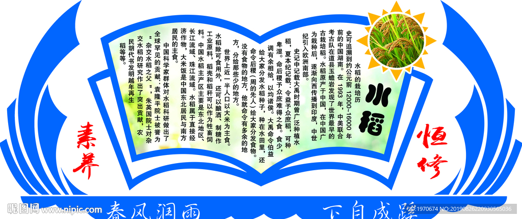 校园文化