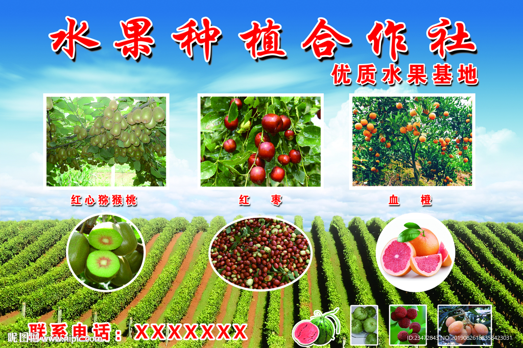 水果种植合作社