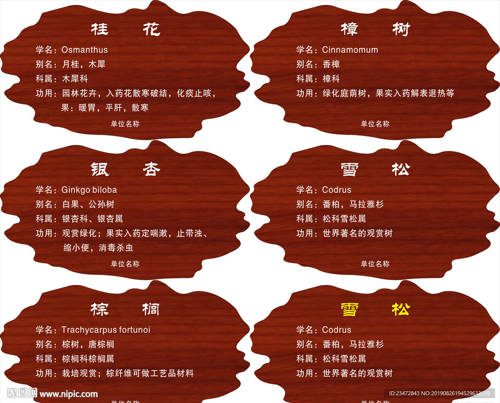 树名木头牌子