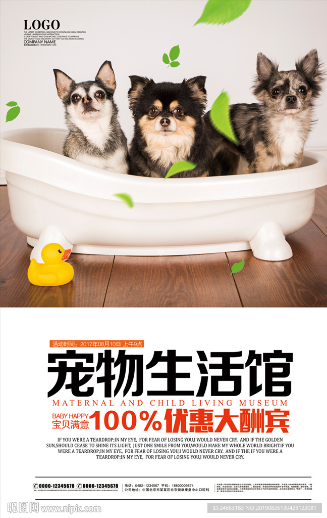 宠物
