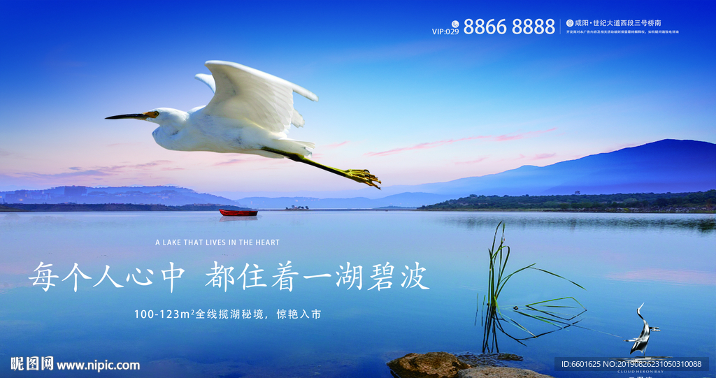 湖景 白鹭