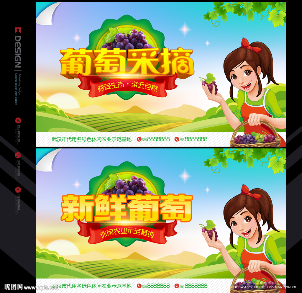 葡萄采摘