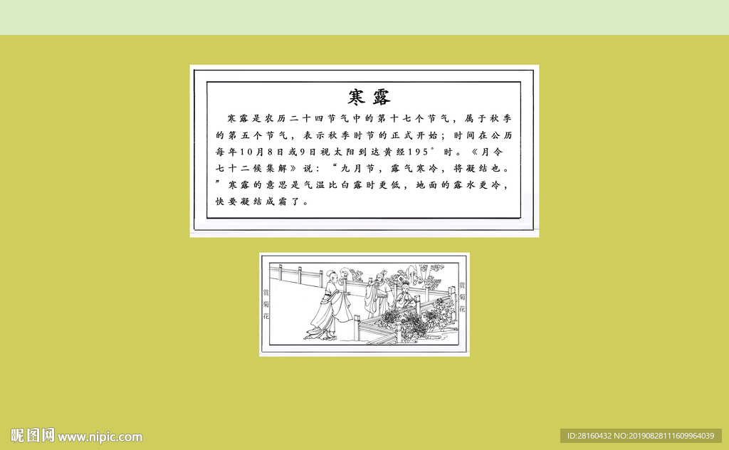 赏菊花