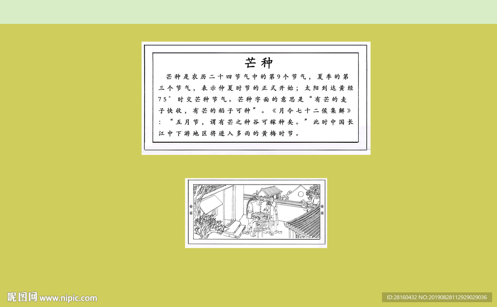 安苗