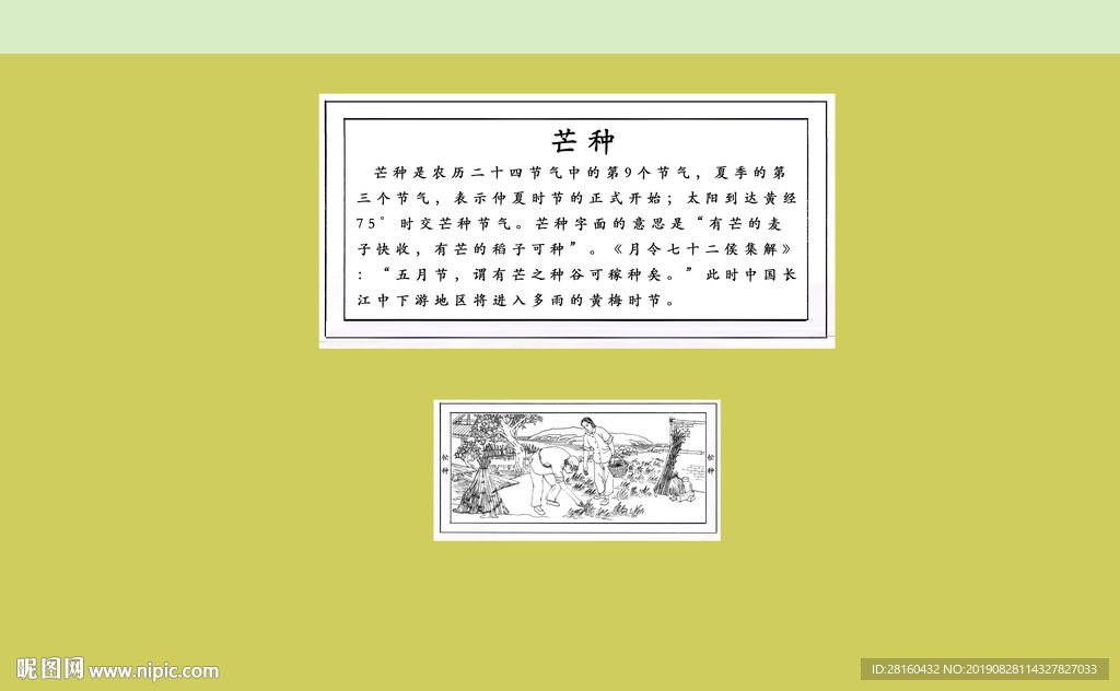 忙种