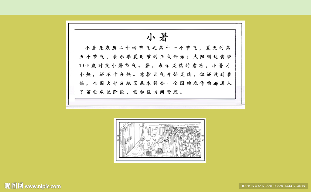 晒伏