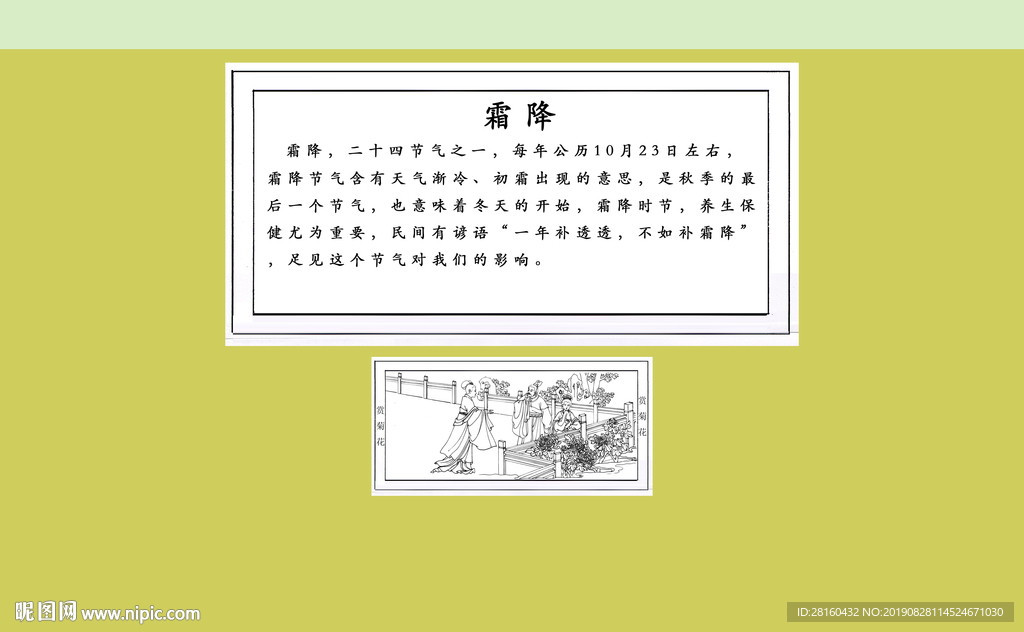 赏菊花