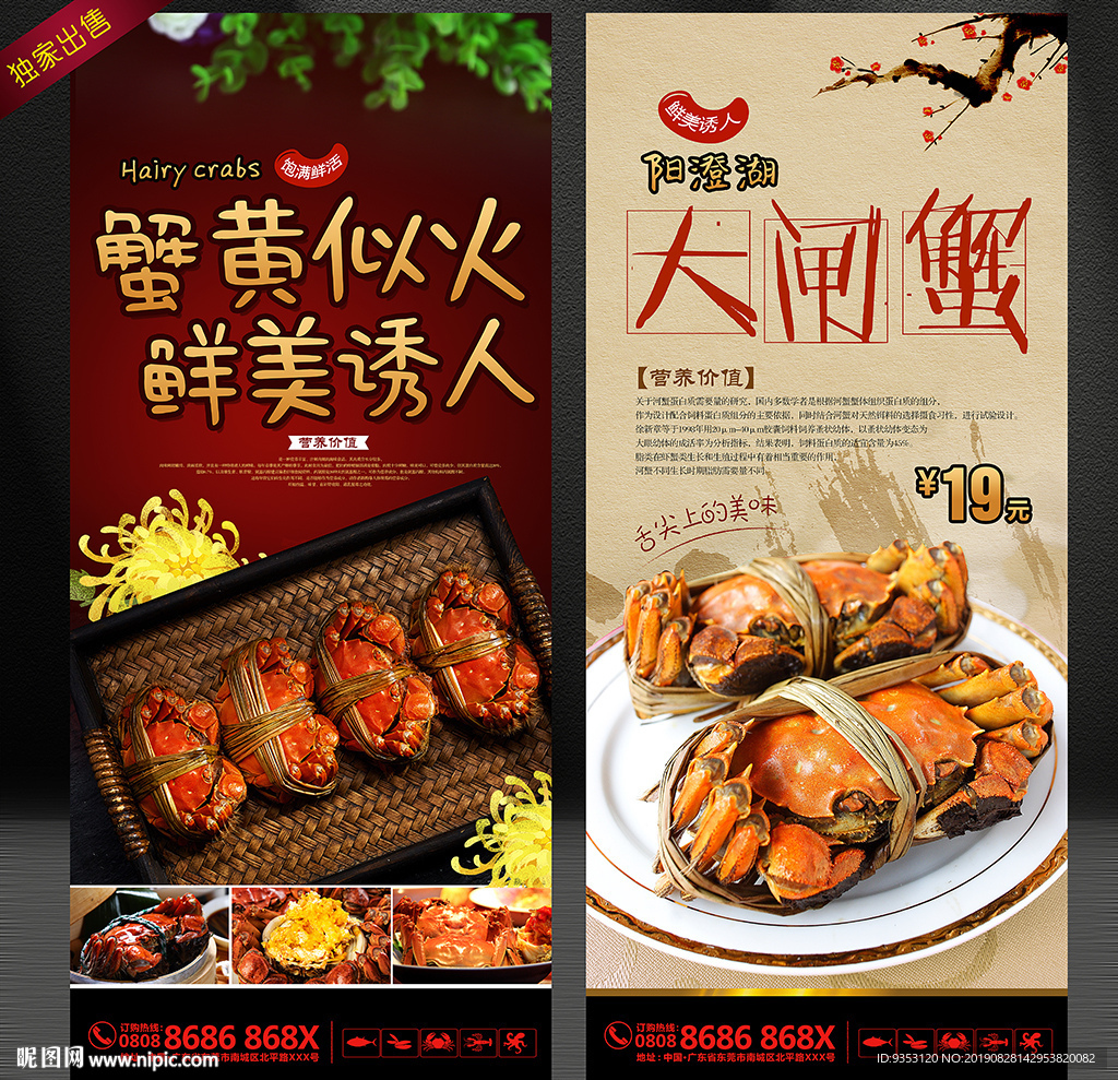 大闸蟹海报