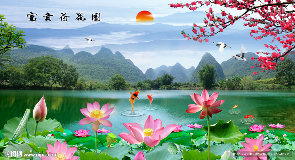 荷花