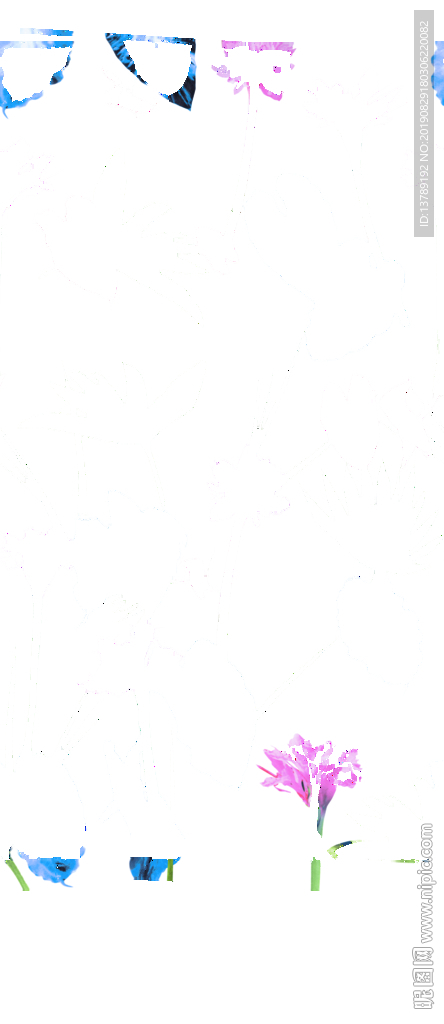 芭蕉叶