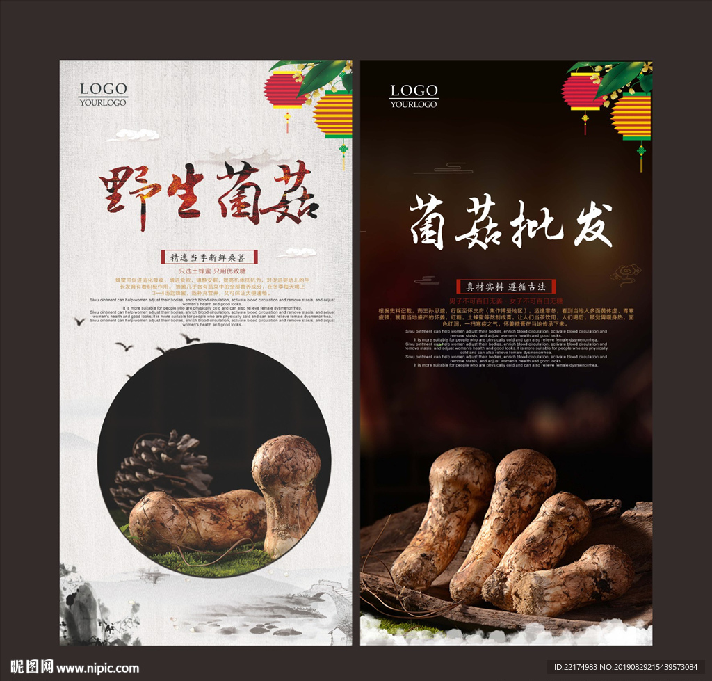 菌菇批发