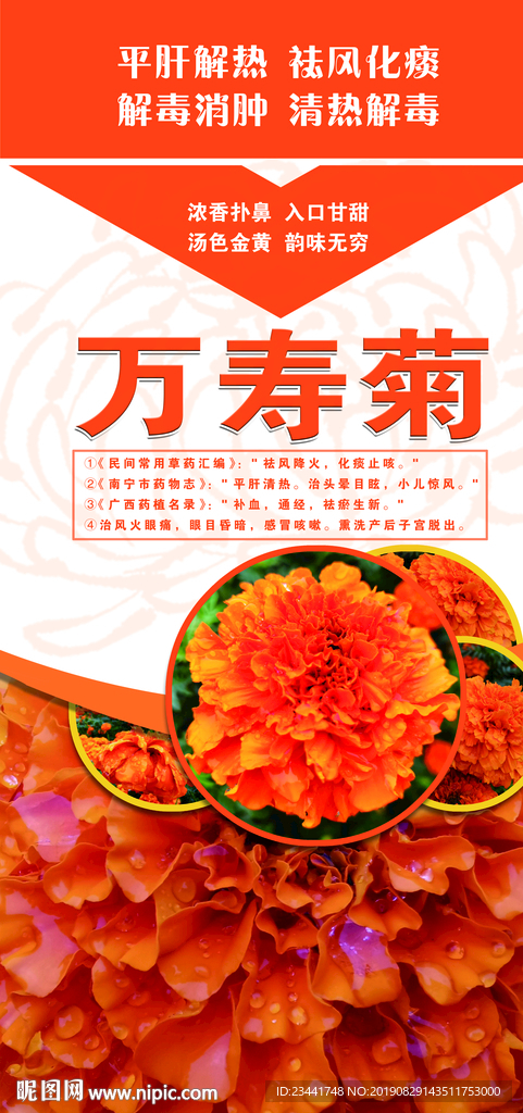 万寿菊