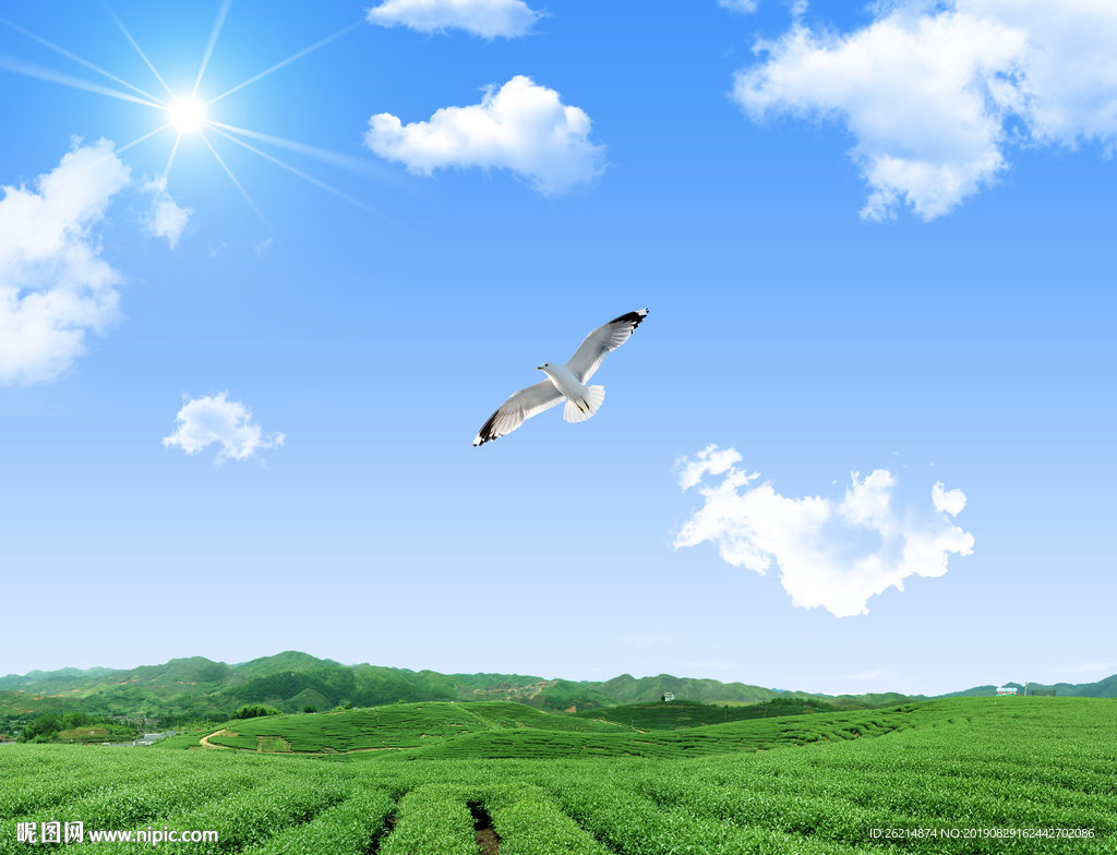 蓝天