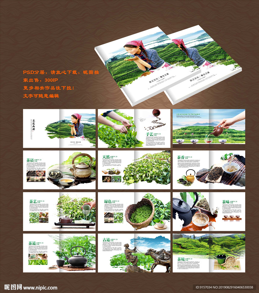茶道画册